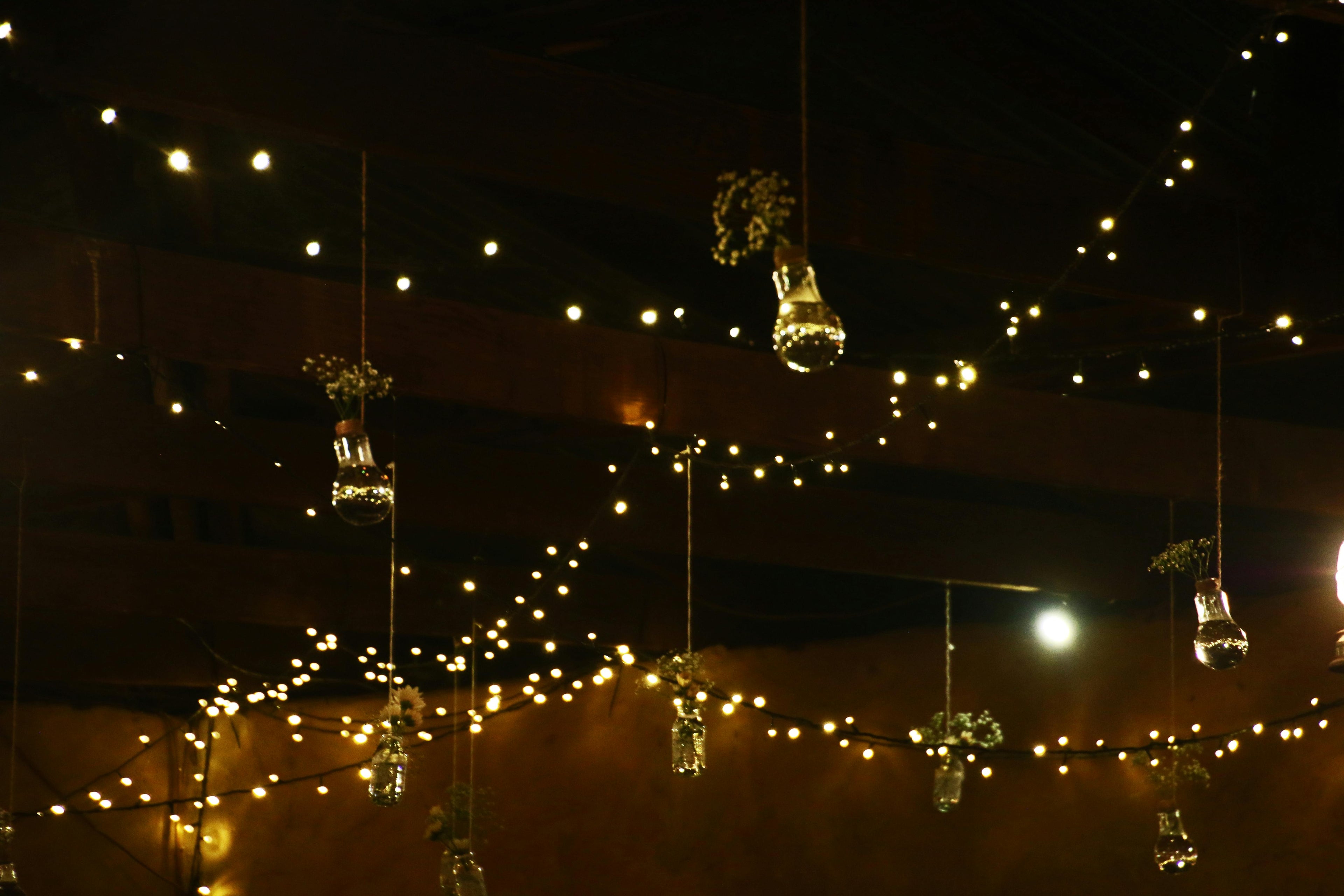 Decorative Lights